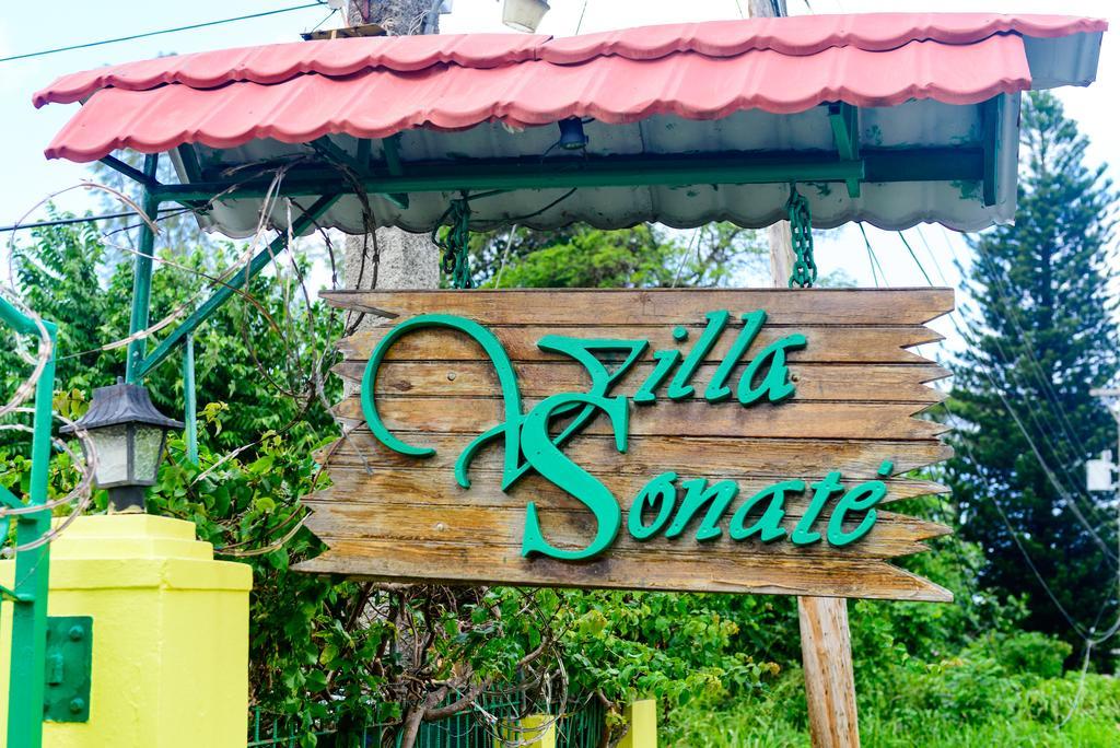 Villa Sonate Runaway Bay Bagian luar foto