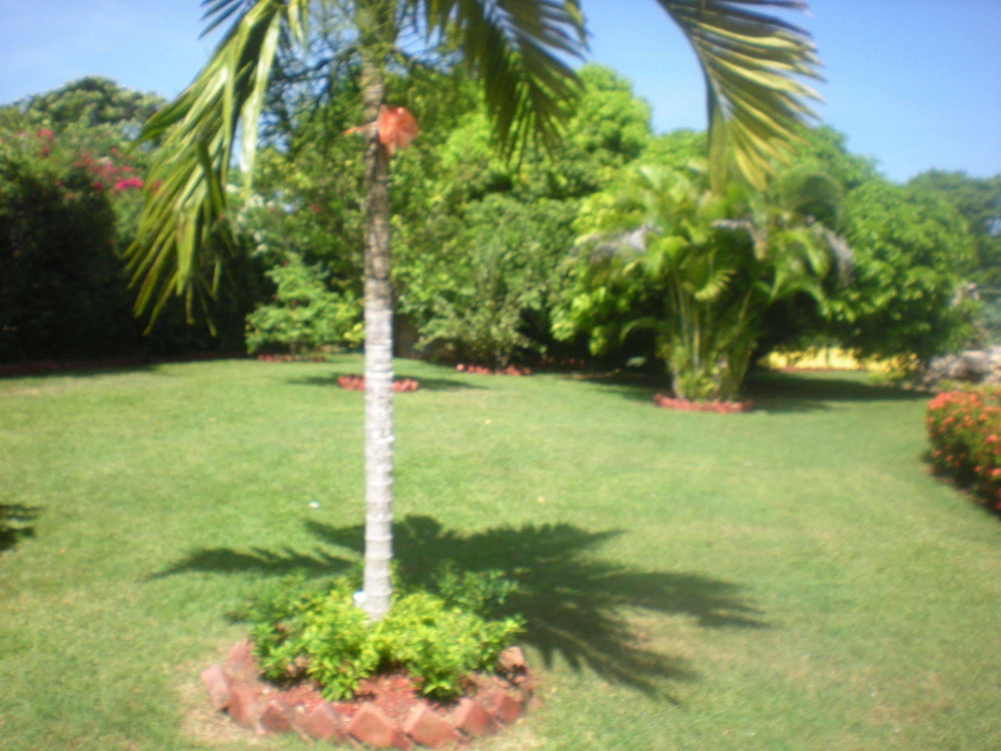 Villa Sonate Runaway Bay Bagian luar foto